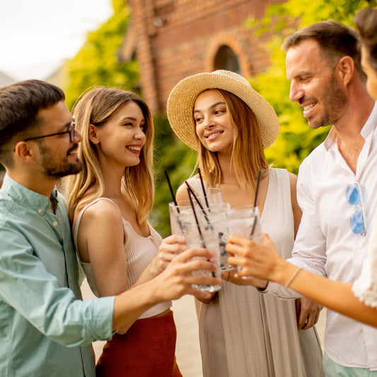 Alkoholfreie vegane Weinerfrischung und Weinschorle in weiß zum anstoßen als Aperitif mit Freunden